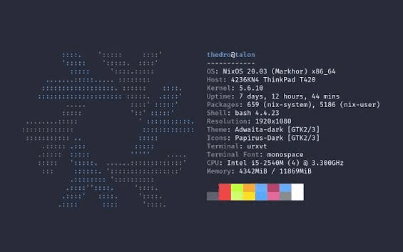 Terminal showing NixOS system info beside the Nix snowflake logo in ASCII art